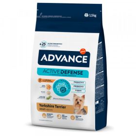 ADVANCE CÃO YORKSHIRE ADULT