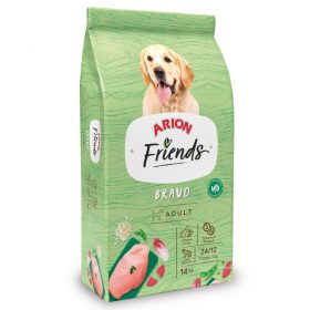 ARION FRIENDS BRAVO